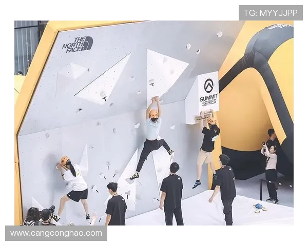 南京攀岩队的意识与团队协作探讨：攀岩运动中的心理与技巧结合